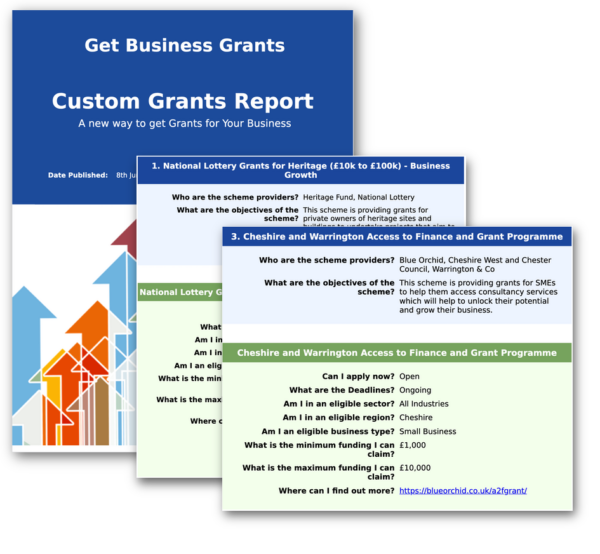 custom-grant-report-get-business-grants